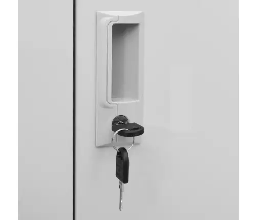 Ģērbtuves Skapji, 2 Gab., 90X45X92,5 Cm, Tērauds, Gaiši Pelēki Vidaxl