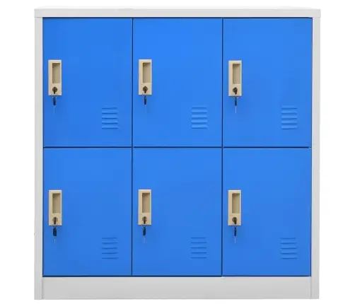 Lukustatavad Hoiukapid 2 Tk, Helehall Ja Sinine, Teras