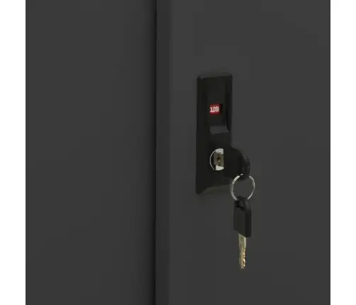 Lükanduksega Kapp Koos Taimekastiga, Antratsiithall, Teras