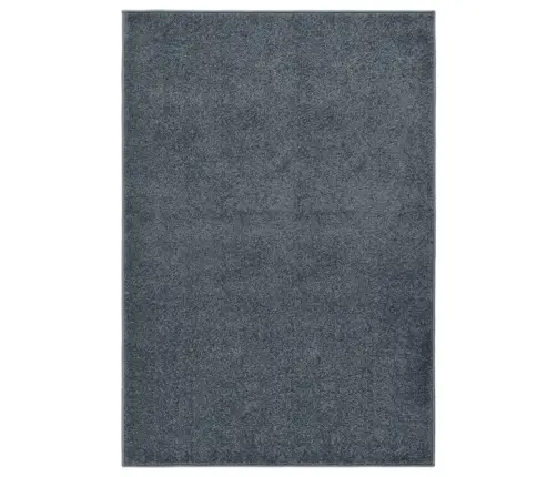 Kilimėlis, Antracito Spalvos, 160X230cm Trumpi Šereliai