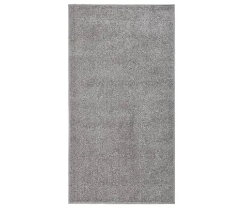 Paklājs, 80X150 Cm, Pelēks Vidaxl