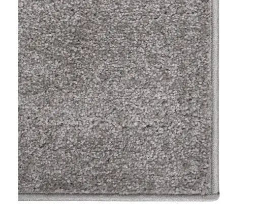 Paklājs, 80X150 Cm, Pelēks Vidaxl