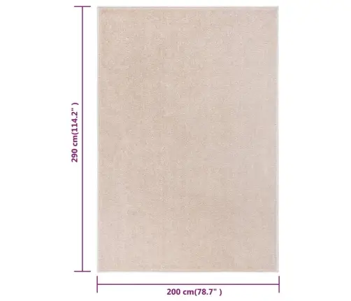 Vaip, Lühike Narmas, 200 X 290 cm Tumebeež