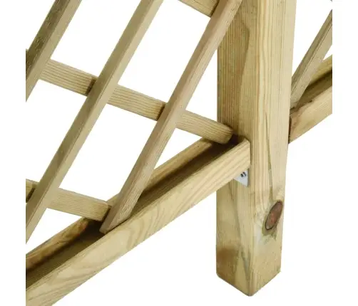 Sodo Tvora Su Grotelėmis/Pergolės Viršumi, 300X50X200cm Pušis