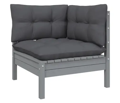 2-Kohaline Aiadiivan Antratsiithallide Patjadega, Männipuit