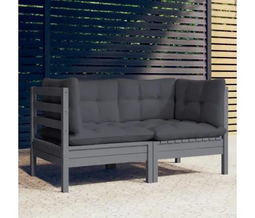 2-Kohaline Aiadiivan Antratsiithallide Patjadega, Männipuit