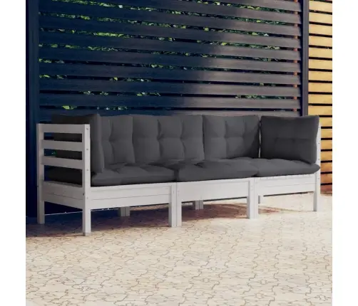 3-Kohaline Aiadiivan Antratsiithallide Patjadega, Männipuit