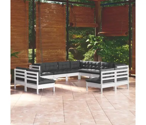 Vidaxl11-Osaline Aiamööbli Komplekt Istmepatjadega, Valge, Männipuit