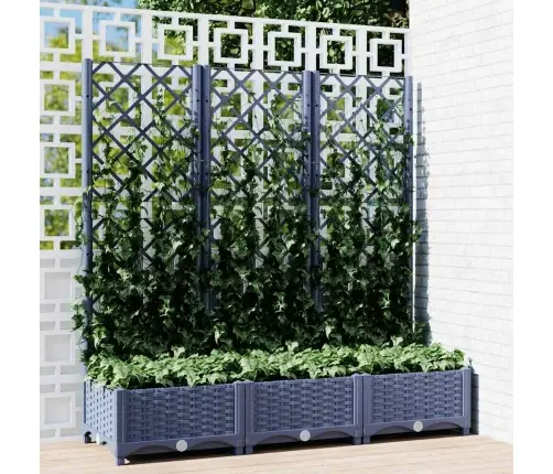 Dārza Puķu Kaste Ar Špaleru, Zili Pelēka, 120X40X121,5 Cm, Pp Vidaxl