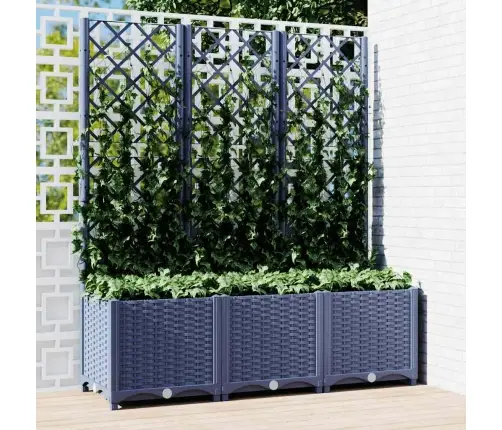 Dārza Puķu Kaste Ar Špaleru, Zili Pelēka, 120X40X136 Cm, Pp Vidaxl