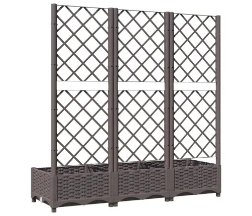 Sodo Vazonas Su Grotelėmis, Rudas, 120X40X121,5 cm Pp