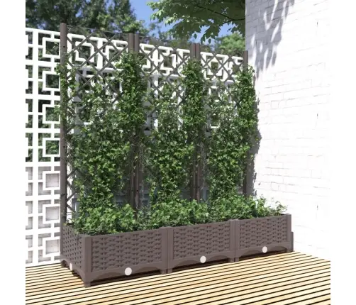 Sodo Vazonas Su Grotelėmis, Rudas, 120X40X121,5 cm Pp