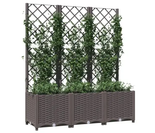 Dārza Puķu Kaste Ar Špaleru, Brūna, 120X40X136 Cm, Pp Vidaxl