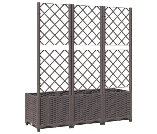 Dārza Puķu Kaste Ar Špaleru, Brūna, 120X40X136 Cm, Pp Vidaxl