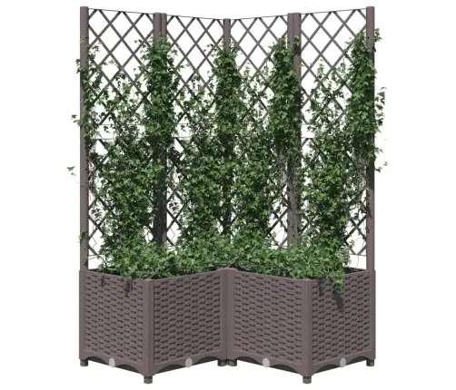 Võrega Taimekast, Pruun, 80 X 80 X 136 Cm Pp