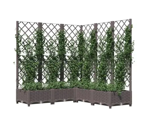 Dārza Puķu Kaste Ar Špaleru, Brūna, 120X120X121,5 Cm, Pp Vidaxl