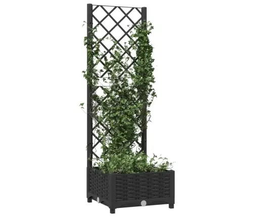 Sodo Vazonas Su Grotelėmis, Juodas, 40X40X121,5 cm Pp