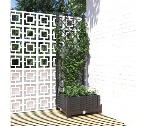 Sodo Vazonas Su Grotelėmis, Juodas, 40X40X121,5 cm Pp