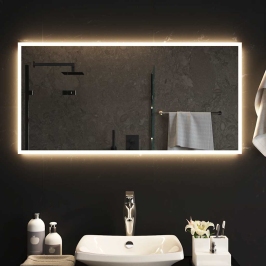 Vannasistabas Spogulis Ar Led, 100X50 Cm Vidaxl