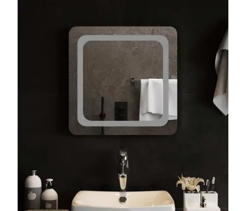 Vannasistabas Spogulis Ar Led, 50X50 Cm Vidaxl