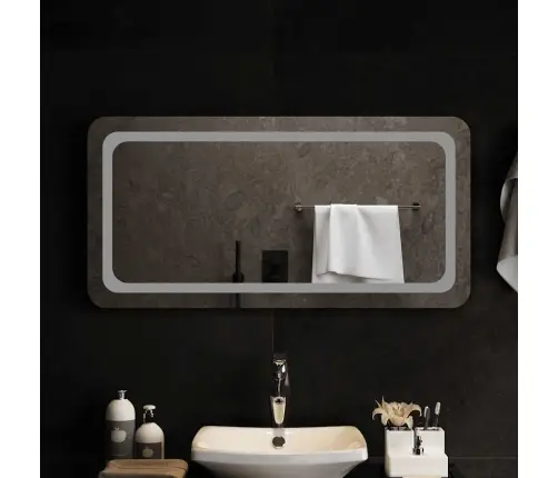 Vannasistabas Spogulis Ar Led, 100X50 Cm Vidaxl