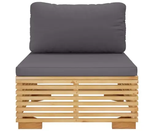 Vidurinė Sodo Sofos Dalis Su Pilkomis Pagalvėlėmis, Tikmedis