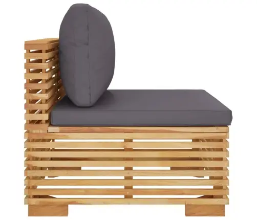 Vidurinė Sodo Sofos Dalis Su Pilkomis Pagalvėlėmis, Tikmedis