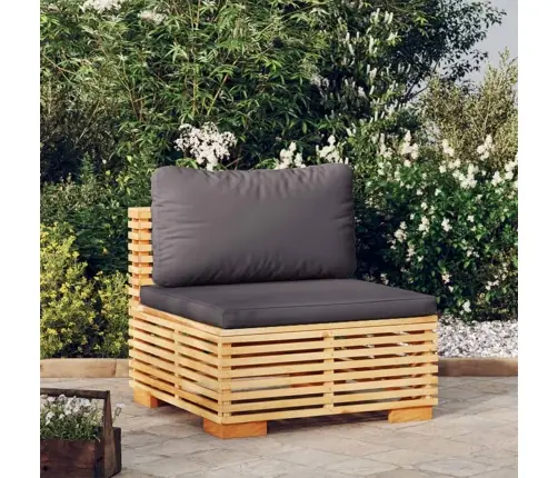 Vidurinė Sodo Sofos Dalis Su Pilkomis Pagalvėlėmis, Tikmedis