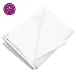 Brezenta Pārklājs, 260 G/M², 6X10 M, Balts, Hdpe Vidaxl