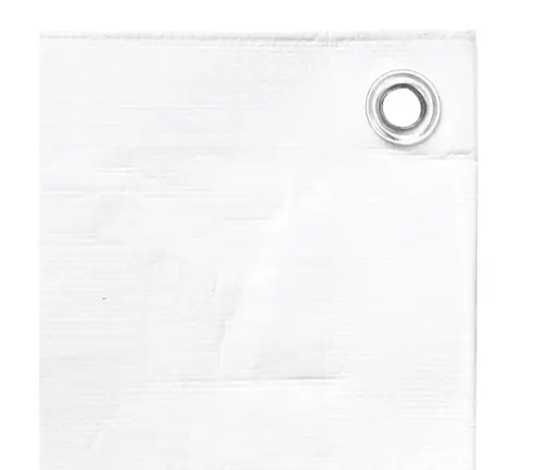 Brezenta Pārklājs, 260 G/M², 6X12 M, Balts, Hdpe Vidaxl