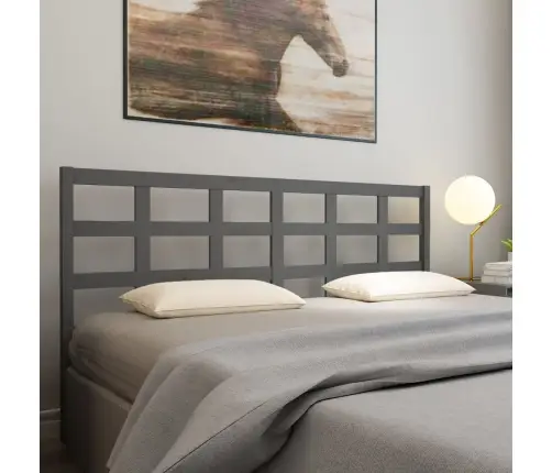 Gultas Galvgalis, Pelēks, 205,5X4X100 Cm, Priedes Masīvkoks Vidaxl