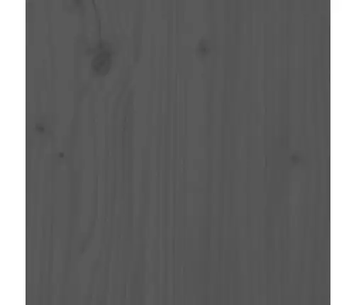 Voodipeats, Hall, 80,5X4X100 cm Männipuit