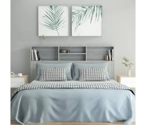 Voodipeatsi Kapp Hall Sonoma 160X19X103,5 Cm