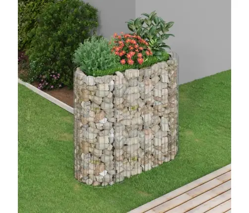 Gabioon Taimelava, Tsingitud Raud, 120 X 50 X 100 Cm