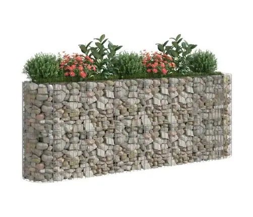 Gabions, Augstā Puķu Kaste, Cinkota Dzelzs, 260X50X100 Cm Vidaxl