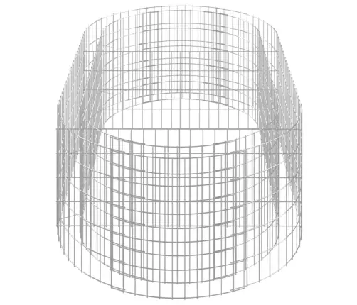 Gabioon Taimelava, Tsingitud Raud, 200 X 100 X 50 Cm