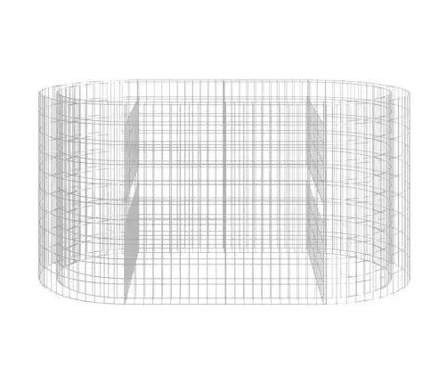 Gabions, Augstā Puķu Kaste, Cinkota Dzelzs, 200X100X100 Cm Vidaxl