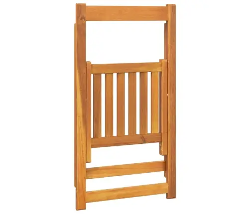 Sulankstomos Sodo Kėdės, 4Vnt., Akacijos Medienos Masyvas