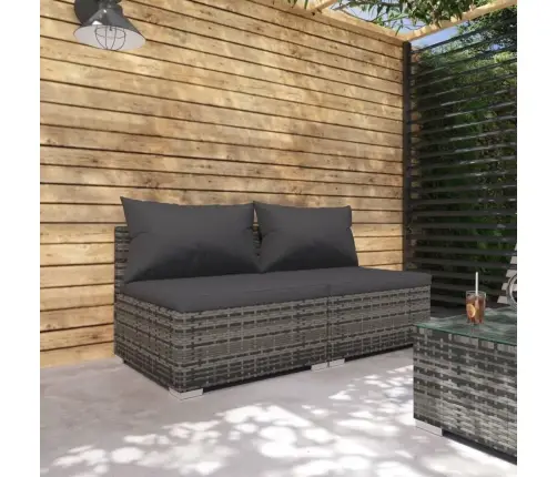 2-Daļīgs Dārza Atpūtas Mēbeļu Komplekts, Pelēka Pe Rotangpalma Vidaxl