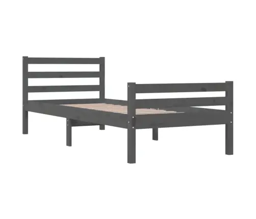 Gultas Rāmis, Pelēks, Masīvkoks, 100X200 Cm Vidaxl