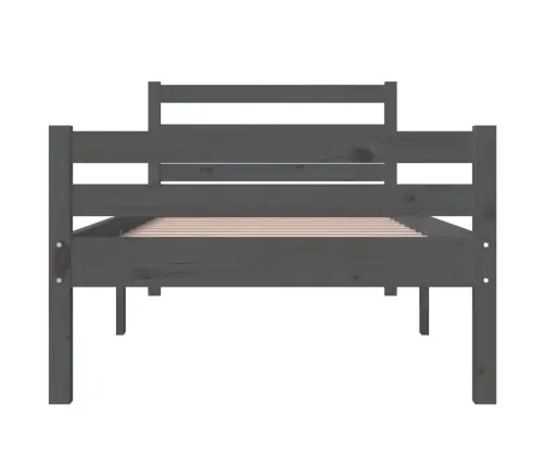Gultas Rāmis, Pelēks, Masīvkoks, 100X200 Cm Vidaxl