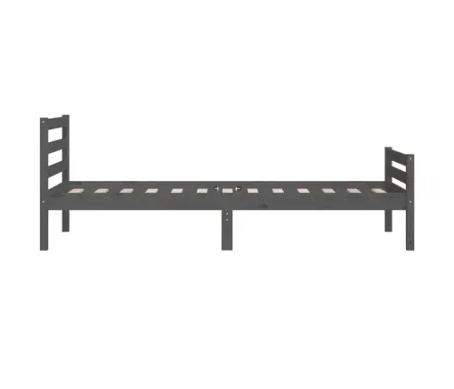 Gultas Rāmis, Pelēks, Masīvkoks, 100X200 Cm Vidaxl