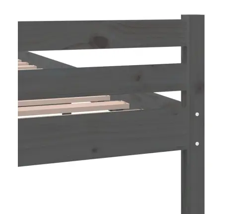 Gultas Rāmis, Pelēks, Masīvkoks, 100X200 Cm Vidaxl