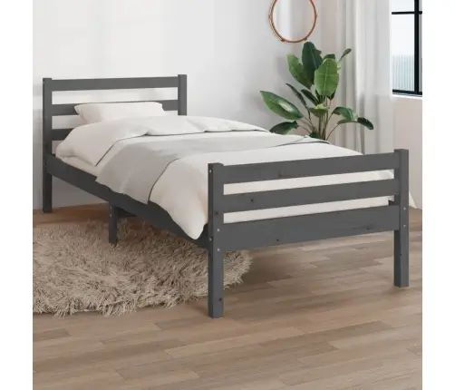 Gultas Rāmis, Pelēks, Masīvkoks, 100X200 Cm Vidaxl