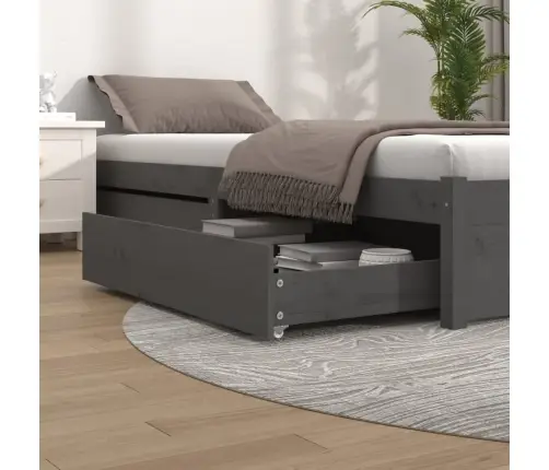 Voodisahtlid 2 Tk, Hall, Männipuit