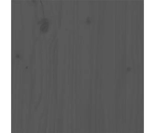 Gultas Rāmis, Pelēks, Priedes Masīvkoks, 200X200 Cm Vidaxl