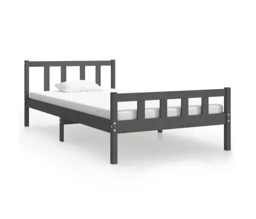 Gultas Rāmis, Pelēks, Masīvkoks, 100X200 Cm Vidaxl