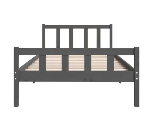 Gultas Rāmis, Pelēks, Masīvkoks, 100X200 Cm Vidaxl