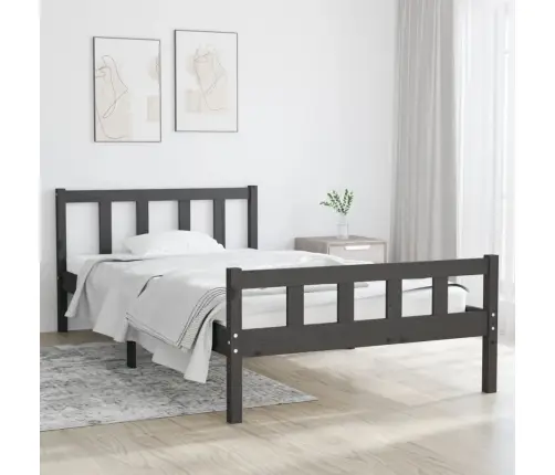 Gultas Rāmis, Pelēks, Masīvkoks, 100X200 Cm Vidaxl