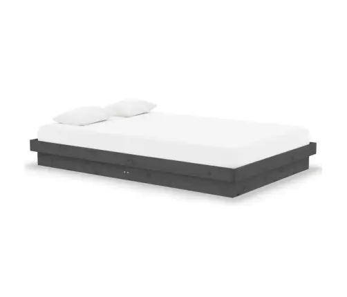 Gultas Rāmis, Pelēks, Masīvkoks, 120X190 Cm, Divvietīgs Vidaxl